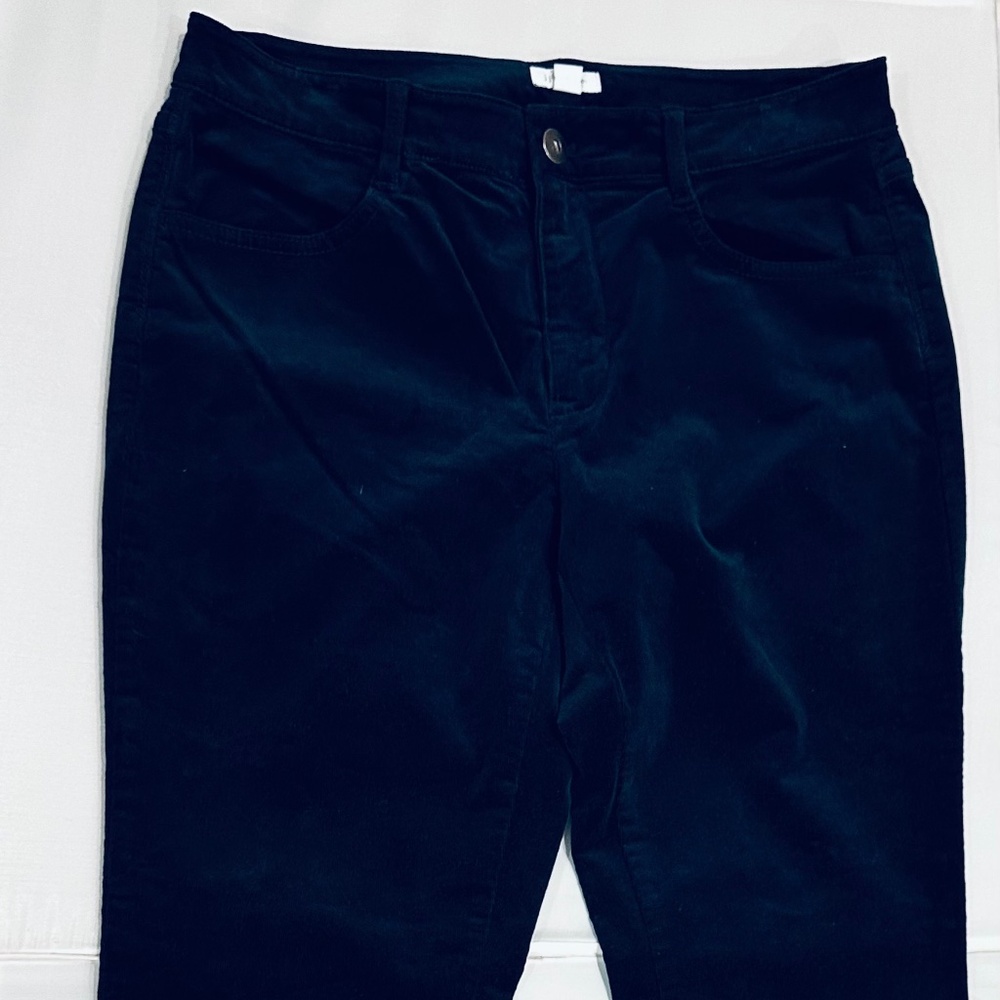 J.Jill Women’s Size 8 Gorgeous Jeweled Color Navy Blue Corduroy Pants - Picture 4 of 4